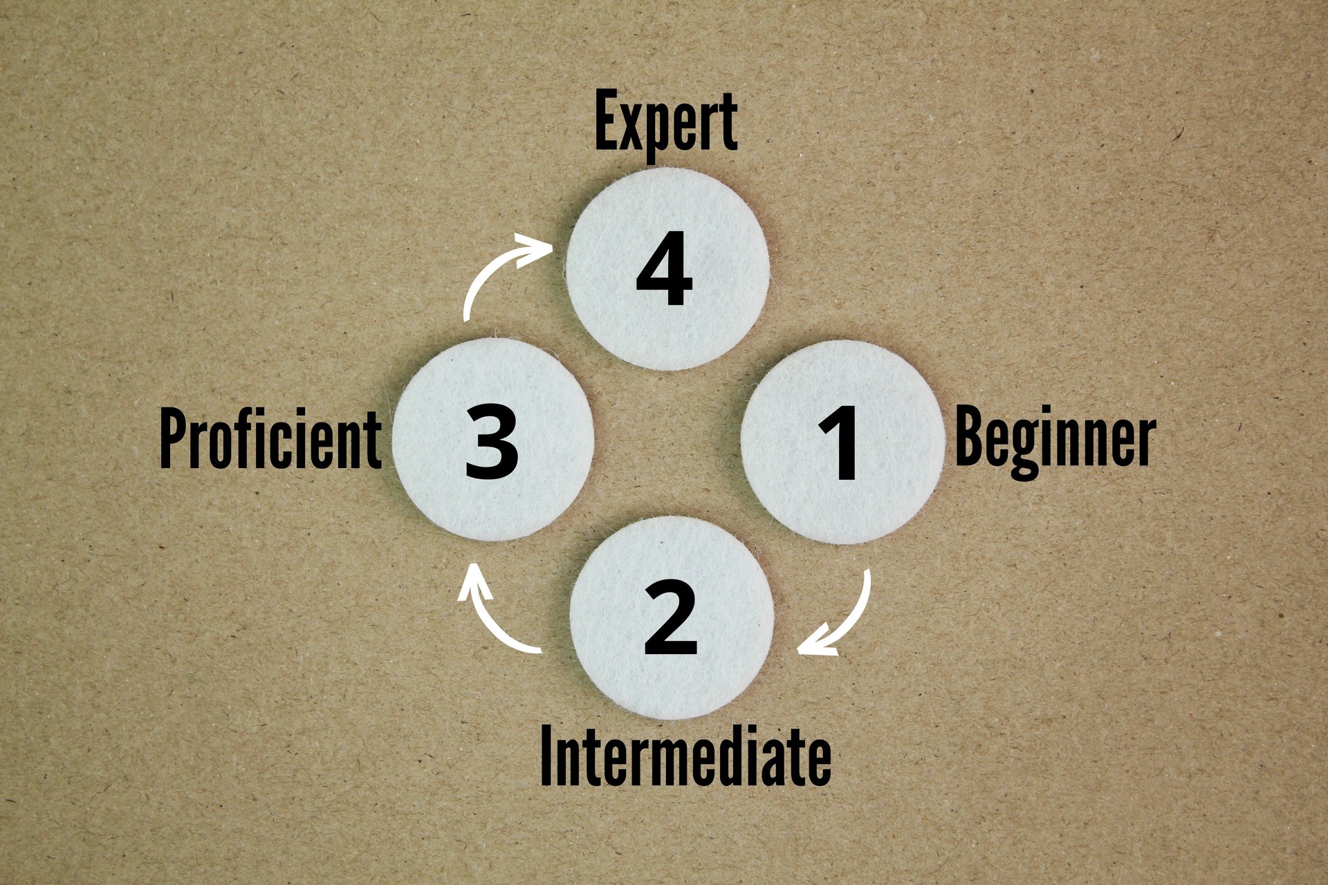 What are the 4 different types of skill levels? beginner, intermediate, proficient or expert. you can define your abilities for certain hard skills and soft skills